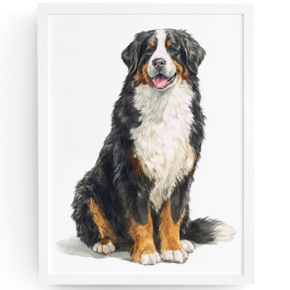 Watercolor Bernese Mountain Dog Portrait Print – Unframed Wall Art Poster - Picture 1 of 5